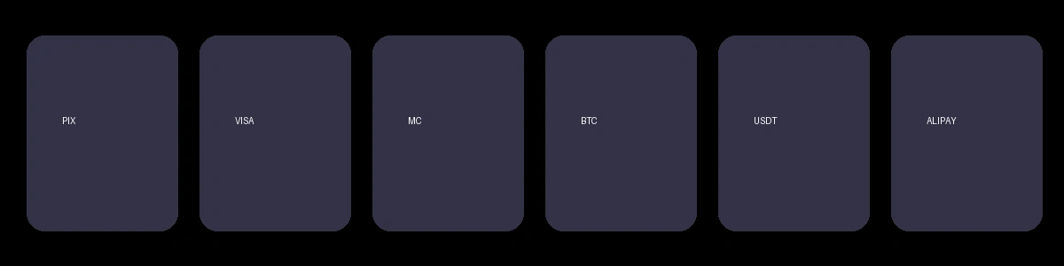 涩涩视频支持的支付方式图标展示